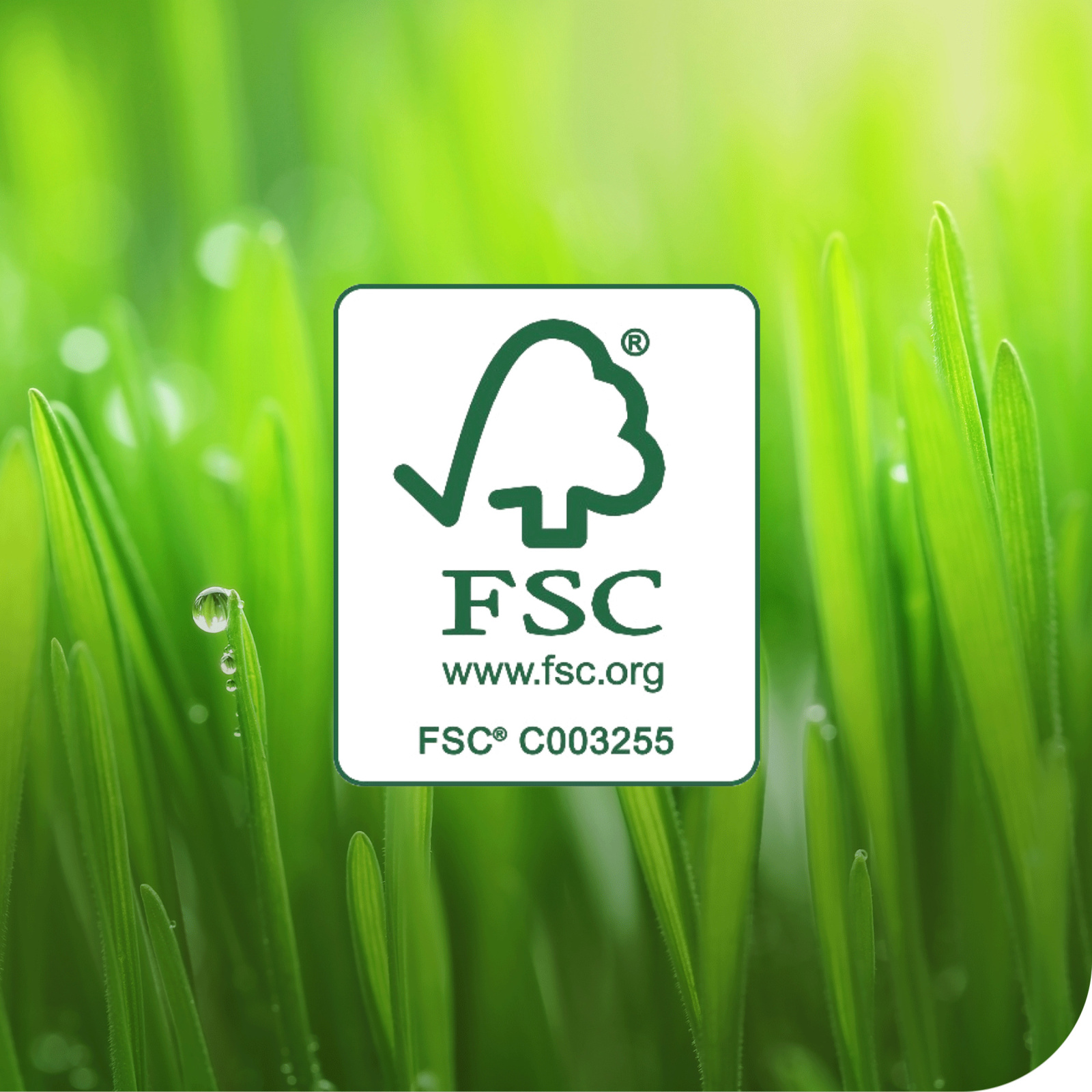 Нетканий матеріал для протирання в рулонах Tork Premium, білий, 152 м, 400 листів, 1 рулон