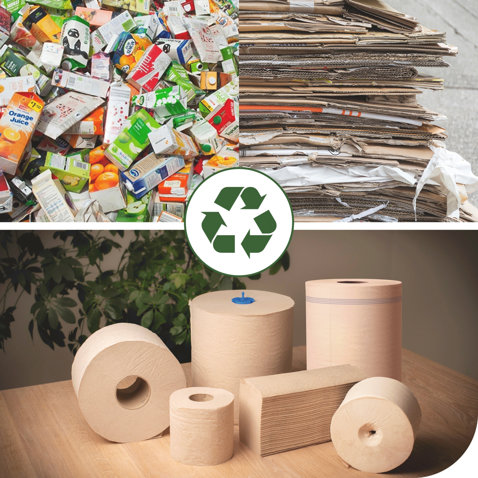 Рушники в рулонах Tork Matic Advanced, натурального кольору, 2 шари, 150 м, 600 листів, 1 рулон