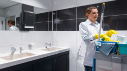 Механічний дозатор Diversey Lesseau для кускового мила, білий